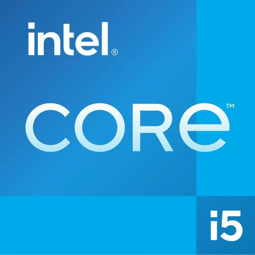 Processeur Intel Core i5-13400 10C/16T /4,6 GHz LGA 1700 BULK
