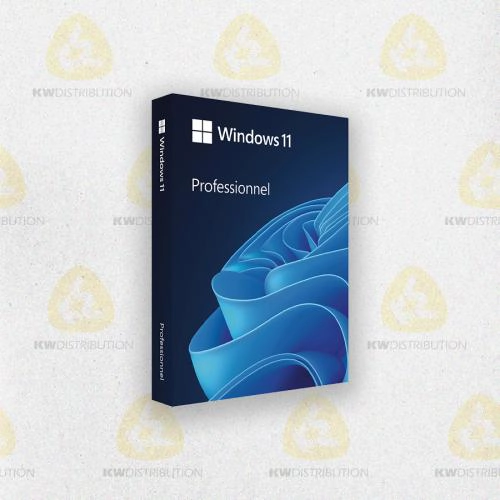 Windows 11 PRO demat