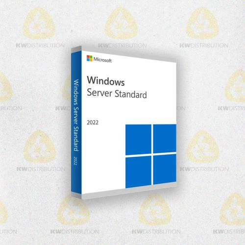Microsoft Windows Server 2022 Standard, Licence, 1 licence(s), Français