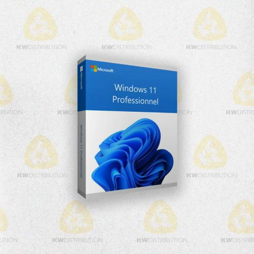 Windows 11 PRO 64 bit
