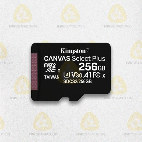 Kingston Micro SDXC 256 Go Technology Canvas Select Plus Classe 10 UHS-I 100